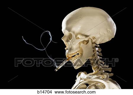 Profile of skeleton smoking cigarette View Large Photo Image Picture - Profile of skeleton smoking cigarette. Fotosearch