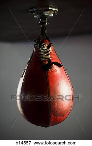Punching bag hanging View Large Photo Image Stock Photo - Punching bag hanging. Fotosearch