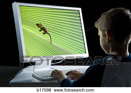 Stock Photo - Rear view of boy at computer with lizard on monitor. Fotosearch