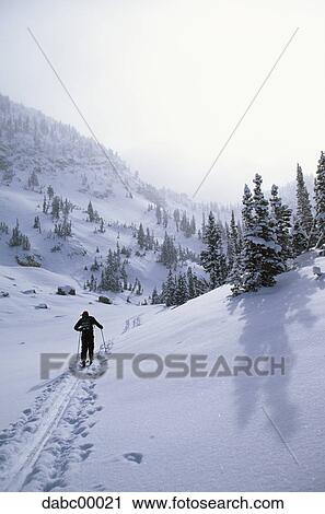 Rear view of person cross country skiing in winter on mountain trail View Large Photo Image Stock Image - Rear view of person cross country skiing in winter on mountain trail. Fotosearch