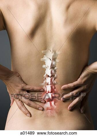 Rear view of woman with hands on back and sore spine View Large Photo Image Stock Photo - Rear view of woman with hands on back and sore spine. Fotosearch