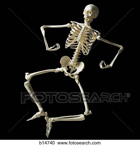 Stock Image - Skeleton leaping. Fotosearch