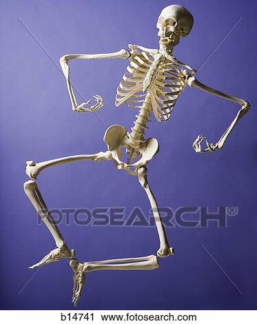 Skeleton leaping View Large Photo Image Stock Image - Skeleton leaping. Fotosearch