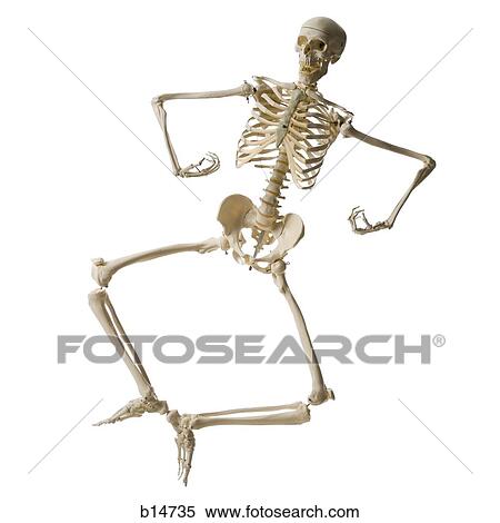 Skeleton leaping View Large Photo Image Stock Photography - Skeleton leaping. Fotosearch