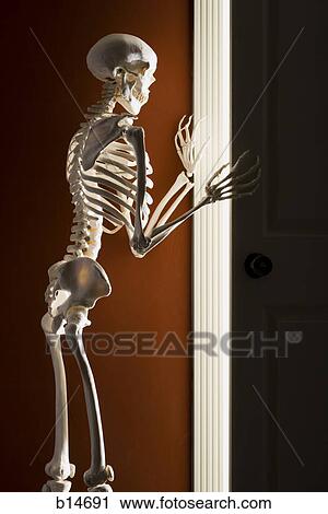 Skeleton opening door View Large Photo Image Stock Image - Skeleton opening door. Fotosearch
