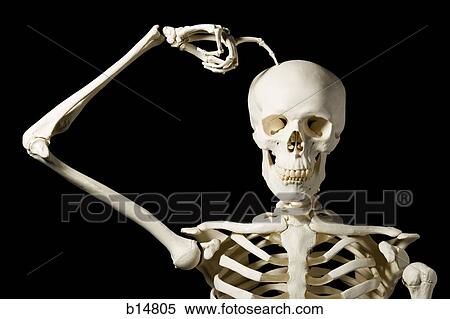 Skeleton scratching head View Large Photo Image Stock Photography - Skeleton scratching head. Fotosearch