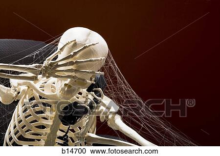 Stock Image - Skeleton sitting at desk talking on telephone with webs. Fotosearch