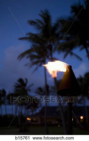 Torch at night with palm trees View Large Photo Image Stock Image - Torch at night with palm trees. Fotosearch