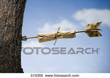 Tree with arrow and note outdoors View Large Photo Image Stock Photography - Tree with arrow and note outdoors. Fotosearch