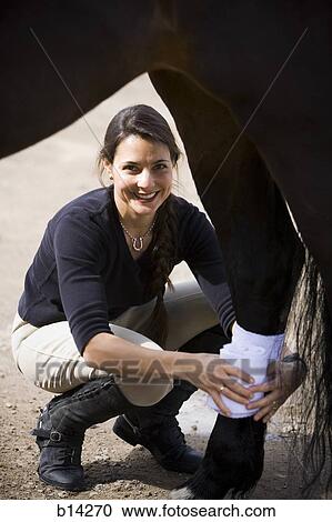 Woman and horse View Large Photo Image Stock Image - Woman and horse. Fotosearch