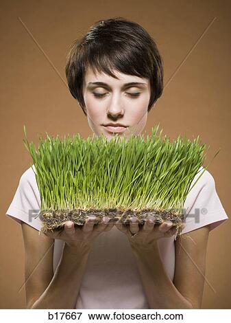 Woman holding grass and smelling it with eyes closed View Large Photo Image Stock Photo - Woman holding grass and smelling it with eyes closed. Fotosearch