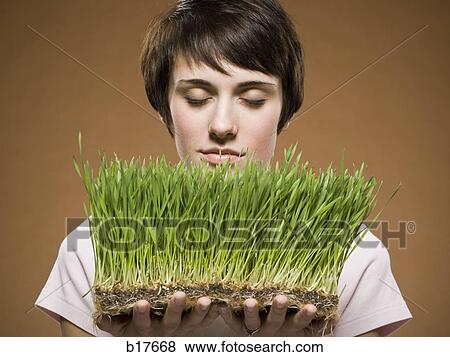 Woman holding grass and smelling it with eyes closed View Large Photo Image Stock Photo - Woman holding grass and smelling it with eyes closed. Fotosearch