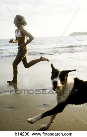 Woman running with dog on the beach. View Large Photo Image Stock Image - Woman running with dog on the beach.. Fotosearch