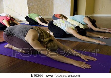 Women at yoga class View Large Photo Image Stock Photograph - Women at yoga class. Fotosearch