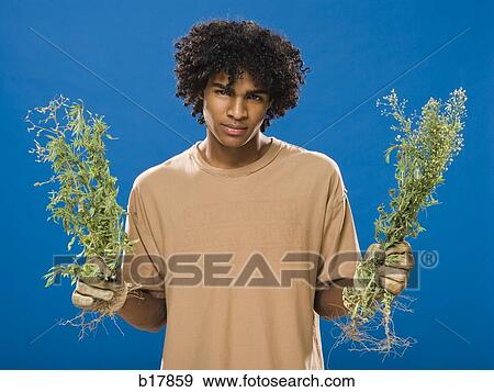Young man holding weeds. View Large Photo Image Stock Photo - Young man holding weeds.. Fotosearch