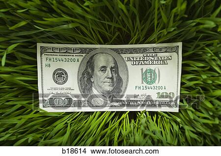 100 dollar bill in the grass. View Large Photo Image Picture - 100 dollar bill in the grass.. Fotosearch
