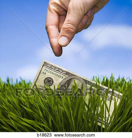 100 dollar bill in the grass. View Large Photo Image Stock Image - 100 dollar bill in the grass.. Fotosearch