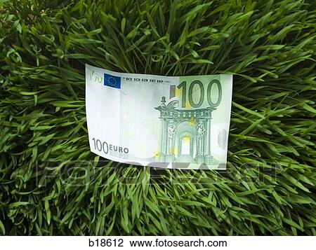 100 Euro note in the grass. View Large Photo Image Stock Image - 100 Euro note in the grass.. Fotosearch