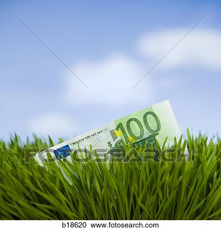 100 Euro note in the grass. View Large Photo Image Stock Image - 100 Euro note in the grass.. Fotosearch
