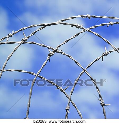 Stock Image - barbed wire. Fotosearch