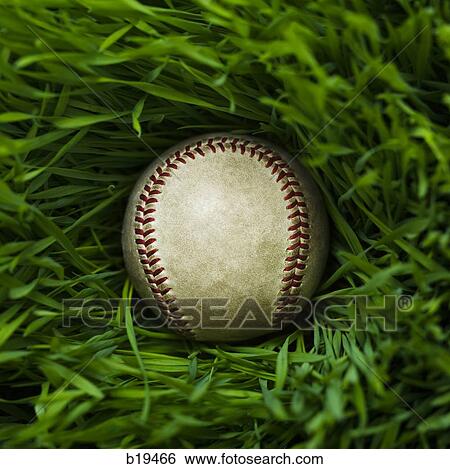Stock Photograph - baseball in the grass. Fotosearch
