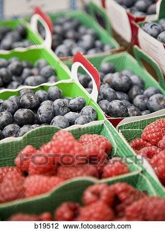 berries View Large Photo Image Stock Image - berries. Fotosearch