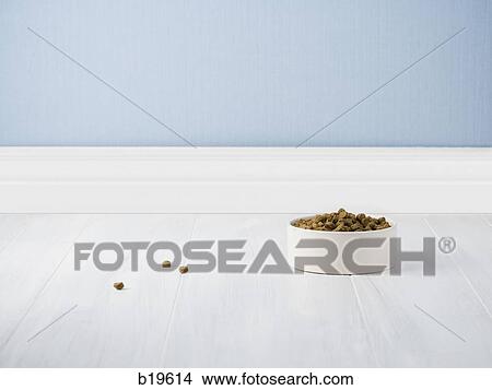 bowl of dog food View Large Photo Image Picture - bowl of dog food. Fotosearch