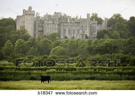 Castle over a pasture. View Large Photo Image Stock Photo - Castle over a pasture.. Fotosearch