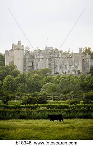 Castle over a pasture. View Large Photo Image Stock Photograph - Castle over a pasture.. Fotosearch