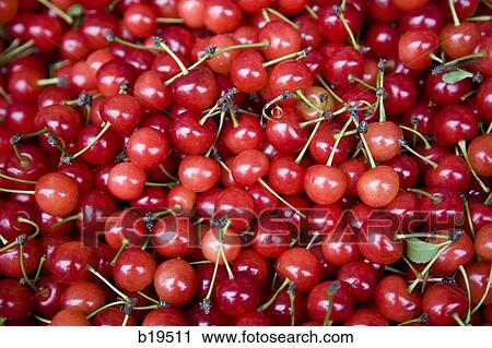 cherries View Large Photo Image Stock Image - cherries. Fotosearch