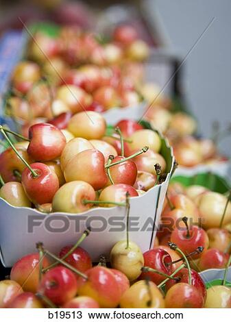 cherries View Large Photo Image Stock Image - cherries. Fotosearch