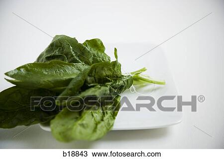Cluster of spinach leaves. View Large Photo Image Stock Image - Cluster of spinach leaves.. Fotosearch