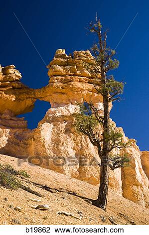 desert landscape View Large Photo Image Stock Image - desert landscape. Fotosearch