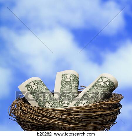 dollars in a nest View Large Photo Image Stock Image - dollars in a nest. Fotosearch