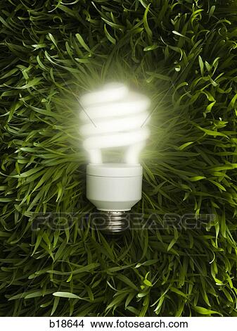 Energy efficient light bulb on green grass. View Large Photo Image Picture - Energy efficient light bulb on green grass.. Fotosearch
