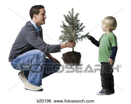 father and son planting a tree View Large Photo Image Stock Photograph - father and son planting a tree. Fotosearch