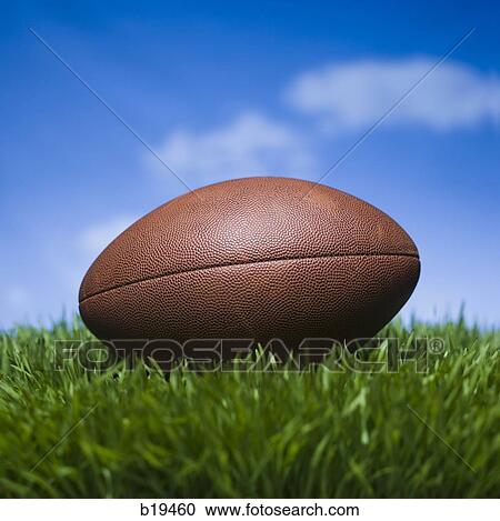 football in the grass View Large Photo Image Stock Image - football in the grass. Fotosearch