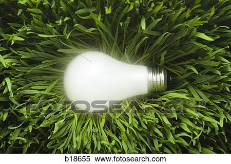 Stock Photography - Glowing light bulb on grass.. Fotosearch
