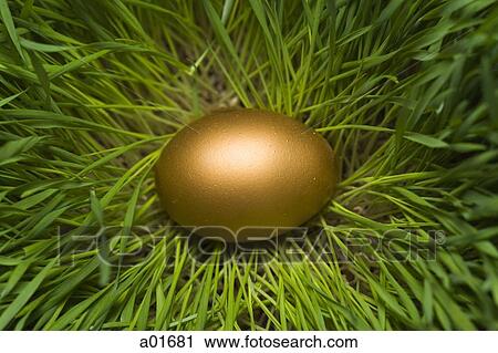 golden egg in the grass. View Large Photo Image Stock Image - golden egg in the grass.. Fotosearch