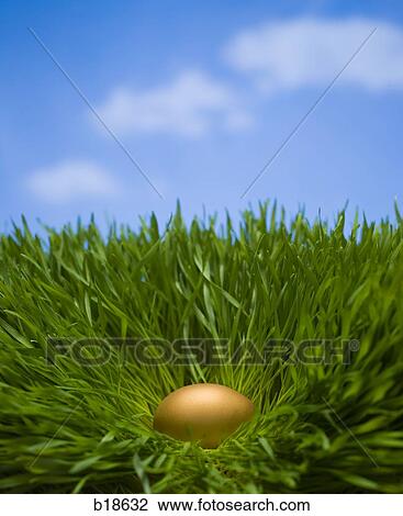Golden egg in the grass. View Large Photo Image Stock Image - Golden egg in the grass.. Fotosearch