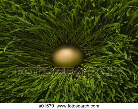 golden egg in the grass. View Large Photo Image Stock Photo - golden egg in the grass.. Fotosearch