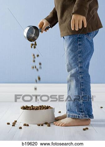 little girl with a bowl of dog food View Large Photo Image Stock Image - little girl with a bowl of dog food. Fotosearch