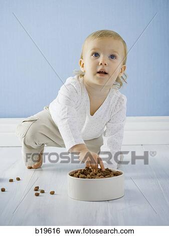 little girl with a bowl of dog food View Large Photo Image Stock Photograph - little girl with a bowl of dog food. Fotosearch