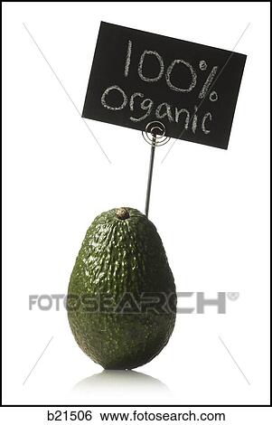organic avocado View Large Photo Image Stock Photograph - organic avocado. Fotosearch