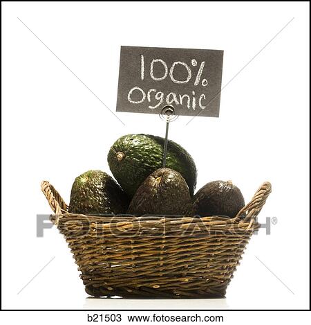 organic avocadoes in a basket View Large Photo Image Stock Image - organic avocadoes in a basket. Fotosearch