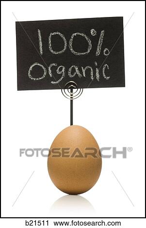 organic egg View Large Photo Image Stock Image - organic egg. Fotosearch