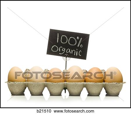 organic eggs View Large Photo Image Stock Image - organic eggs. Fotosearch