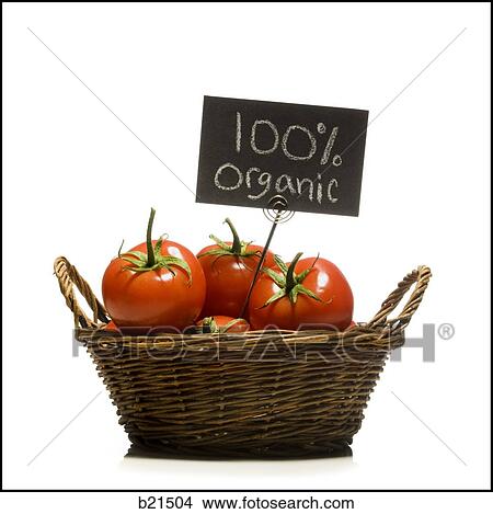 organic tomatoes in a basket View Large Photo Image Picture - organic tomatoes in a basket. Fotosearch