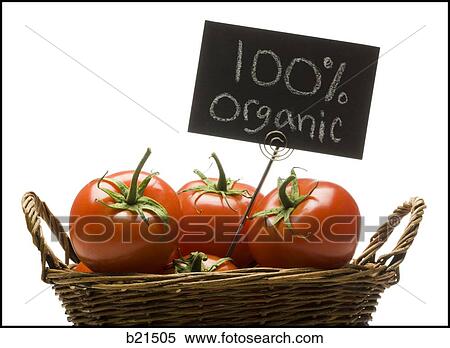 Stock Photography - organic tomatoes in a basket. Fotosearch