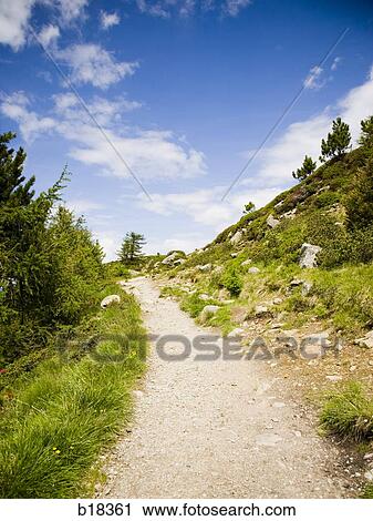 Stock Image - Path through the forest.. Fotosearch